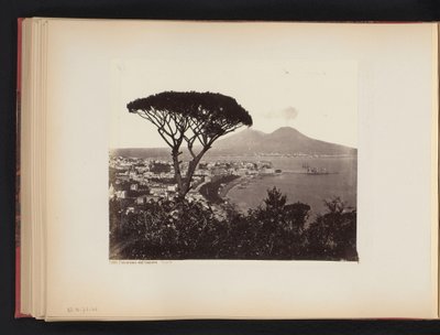 Näkymä Napoliin, Italiaan, mänty etualalla Panorama Valley Vomero Napoli (otsikko esineessä) tekijältä Giorgio Sommer