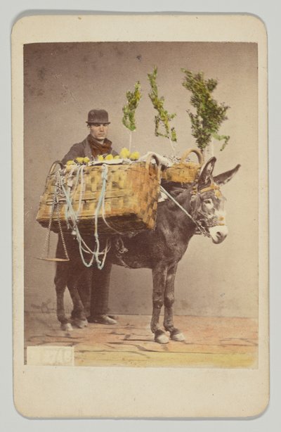  tekijältä Giorgio Sommer
