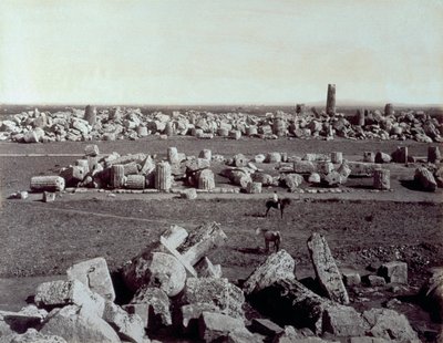 Panoraama Minervan temppelin ja Apollon temppelin jäännöksistä Selinuntessa. Arkeologisen alueen raunioiden joukossa on mies hevosen selässä tekijältä Giorgio Sommer