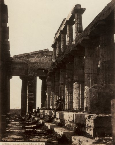 Neptunuksen temppelin rauniot Paestumissa tekijältä Giorgio Sommer