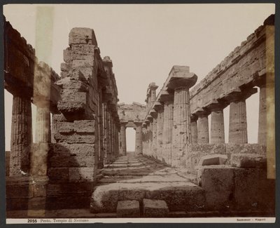 Neptunuksen temppeli, Paestum tekijältä Giorgio Sommer