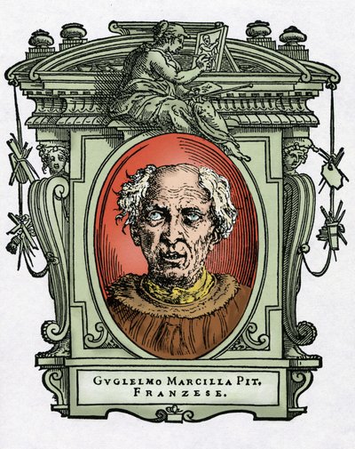 William of Marcillatin muotokuva tekijältä Giorgio Vasari