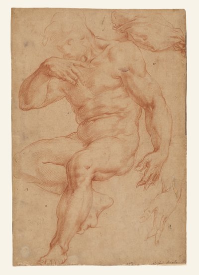 Studien eines männlichen Aktes, eines Gewandes und einer Hand tekijältä Giorgio Vasari