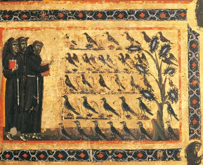 Pyhän Franciscuksen tarinoita: Pyhä Franciscus saarnaa linnuille, Giotto (1267-1337) fresko, n. 1325. Vernion Bardi-kappeli, Santa Crocen basilika, Firenze. Italia tekijältä Giotto (c.1266 1337)