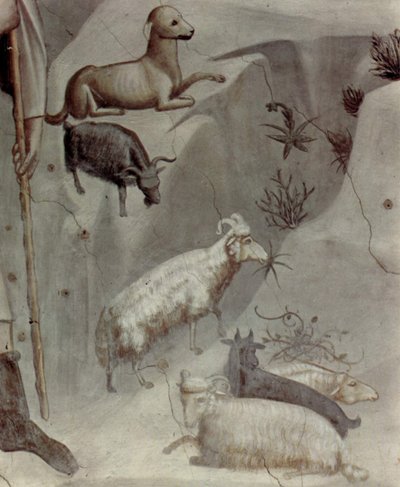 Kohtauksia Joakimin elämästä: 5. Joakimin uni

 (yksityiskohta) tekijältä Giotto