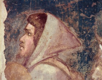 Paimenen pää tekijältä Giotto di Bondone