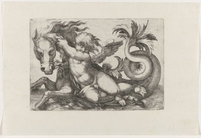 Putto ratsastus merihevosella tekijältä Giovanni Andrea Maglioli