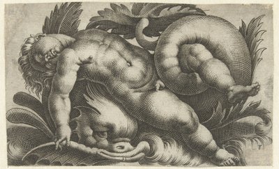 Nukkuva putto delfiinin päällä Putti merieläimillä (sarjan nimi) tekijältä Giovanni Andrea Maglioli