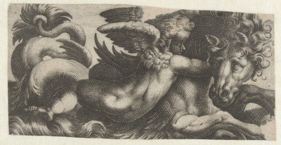 Merihevonen putto kaulassa Friisiläiset merihirviöiden kanssa (sarjan nimi) tekijältä Giovanni Andrea Maglioli