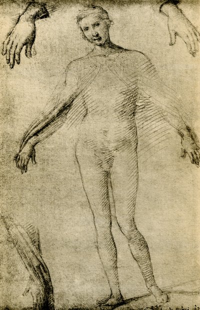 Mallitutkimus Neitsyt Mariasta mater misericordiae -naisena tekijältä Giovanni Antonio Bazzi Sodoma