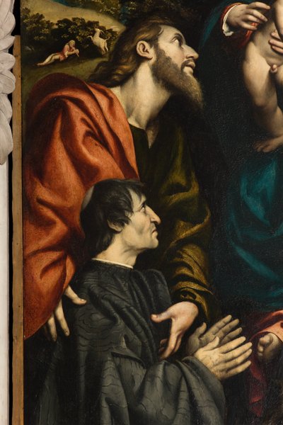 Pyhän Katariinan, Madonnan ja lapsen alttari pyhien Philipin ja Jaakobin ja lahjoittajan Giacomo Schizzin välillä, Il Pordenone 1522, yksityiskohta tekijältä Giovanni Antonio Pordenone