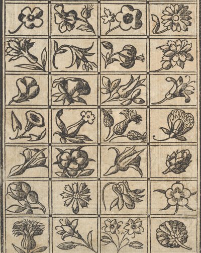 Esimerkki recammista, sivu 10 verso, 1530. tekijältä Giovanni Antonio Tagliente