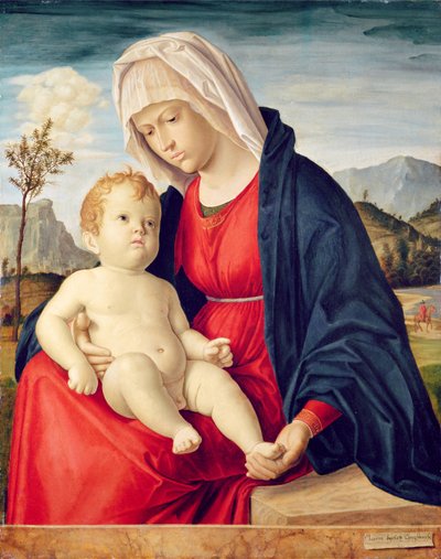 Neitsyt ja lapsi (öljy kartongille) tekijältä Giovanni Battista Cima da Conegliano
