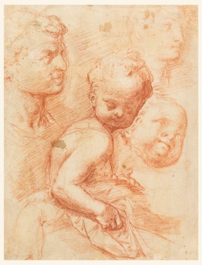 Piirustus, Tutkimus miehen, naisen ja lapsen päistä, istuva lapsi, n. 1570 tekijältä Giovanni Battista Naldini