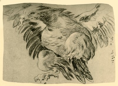 Kotka, 1751-1752, 1928 tekijältä Giovanni Battista Tiepolo