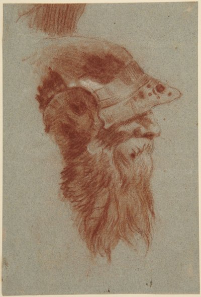 Parrakkaan sotilaan pää Würzburgin Kaisersalia varten tekijältä Giovanni Battista Tiepolo