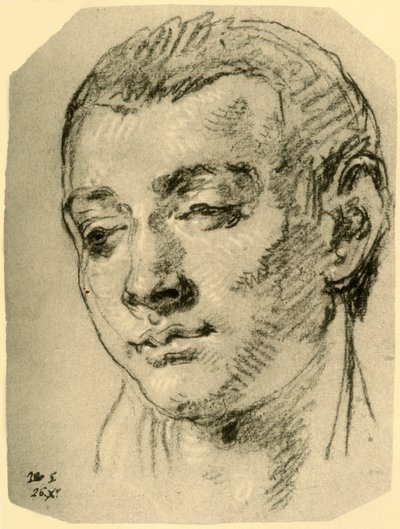 Pojan pää, 1700-luvun puoliväli, 1928 tekijältä Giovanni Battista Tiepolo