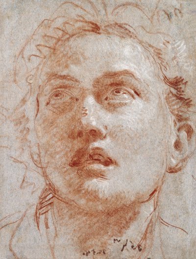 Miehen pää, joka katsoo ylös, tekijältä Giovanni Battista Tiepolo