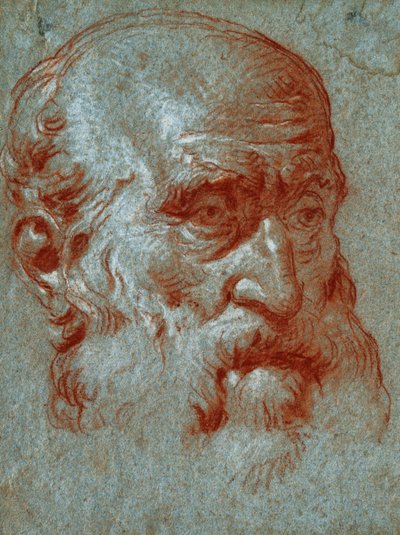 Venetsialaisen patriisin johtaja, kolme neljäsosaa, tekijältä Giovanni Battista Tiepolo