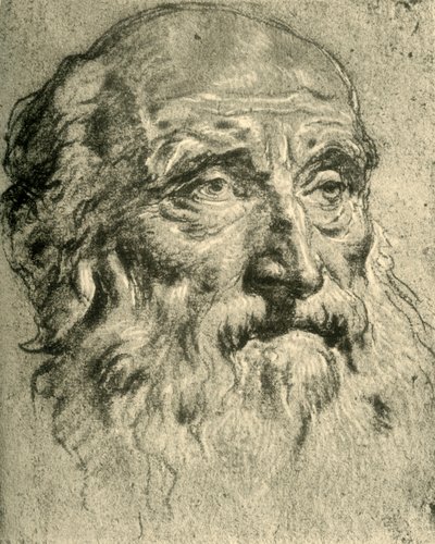 Vanhan miehen pää, 1700-luvun puoliväli, 1928 tekijältä Giovanni Battista Tiepolo