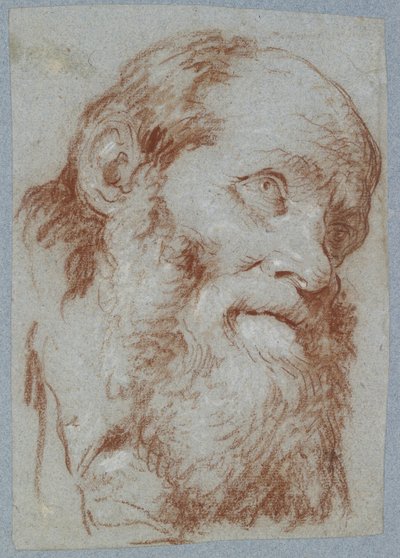Vanhan parrakkaan miehen pää (punaliitu, valkoisella kosketettu, haalistuneelle harmaan siniselle paperille). tekijältä Giovanni Battista Tiepolo