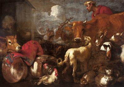 The Animals Board Nooan arkki - The Animals Board Nooan arkki, Castiglione, Giovanni Benedetto (1610-1665). Öljy kankaalle, koko: 170x238 tekijältä Giovanni Benedetto Castiglione