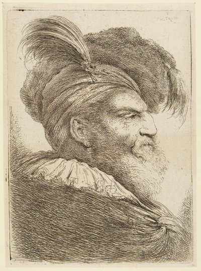 Partaisen miehen pää sulkahatulla tekijältä Giovanni Benedetto Castiglione