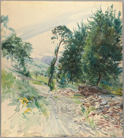 Tie tekijältä Giovanni Boldini