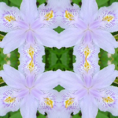 Unnatural 174 (digitaalisesti manipuloitu valokuva) tekijältä Giovanni Cafagna