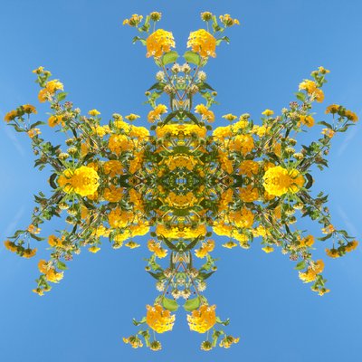 Unnatural 193 (digitaalisesti manipuloitu valokuva) tekijältä Giovanni Cafagna