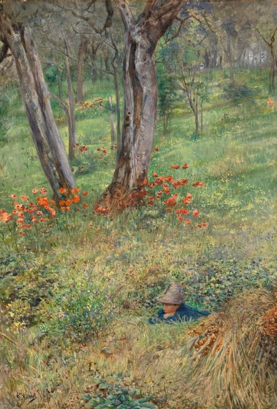 Woodland Hideout (wc paperilla) tekijältä Giovanni Costa