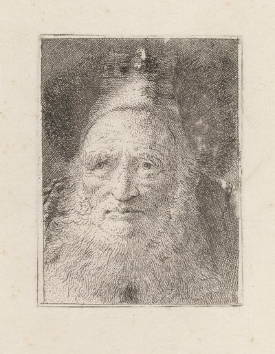 Parrakas vanha mies, jolla on hattu, Raccolta di Testestä (Pääkokoelma) tekijältä Giovanni Domenico Tiepolo