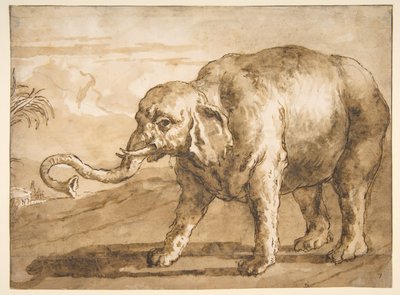 Norsu maisemassa tekijältä Giovanni Domenico Tiepolo