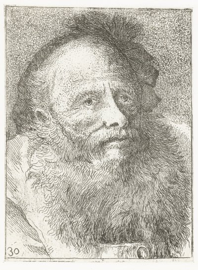 Mies, jolla on parta ja höyhenpäähineet Pääkokoelma (sarjan nimi) Raccolta di Teste (sarjan nimi) tekijältä Giovanni Domenico Tiepolo