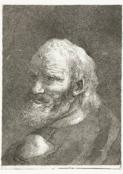 Mies paljas olkapää Pääkokoelma (sarjan nimi) Raccolta di Teste (sarjan nimi) tekijältä Giovanni Domenico Tiepolo