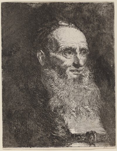 Vanha mies, jolla on parta tekijältä Giovanni Domenico Tiepolo