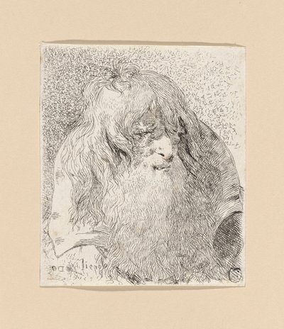 Vanhus, jolla on parta ja pitkät hiukset, Raccolta di Testestä (Pääkokoelma) tekijältä Giovanni Domenico Tiepolo