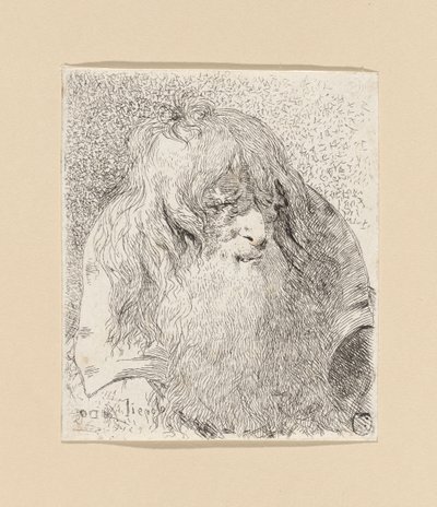 Parrakas ja pitkätukkainen vanha mies, teoksesta Raccolta di Teste (Pääkokoelma) tekijältä Giovanni Domenico Tiepolo