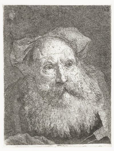 Vanha mies parta Pääkokoelma (sarjan nimi) Raccolta di Teste (sarjan nimi) tekijältä Giovanni Domenico Tiepolo