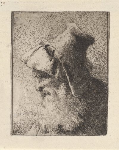 Partavanhuksen miehen profiili, Raccolta di Teste (Pääkokoelma) tekijältä Giovanni Domenico Tiepolo