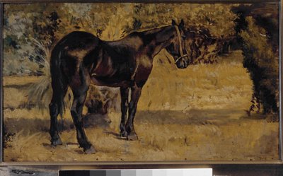 Dark horse (öljy kankaalle tekijältä Giovanni Fattori