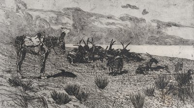 Aasi ja vuohet meren rannalla talvella, 1884-1908. tekijältä Giovanni Fattori