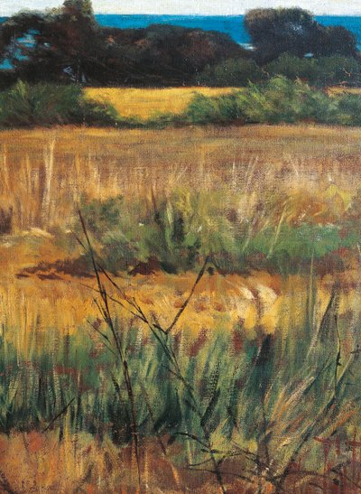 Italia, Firenze, Maremma Toscana, noin 1894, yksityiskohta tekijältä Giovanni Fattori