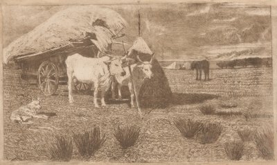 Kärryjen eteen valjastetut härät (Maremma) tekijältä Giovanni Fattori