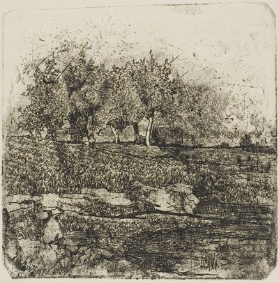 Puut niityllä tekijältä Giovanni Fattori