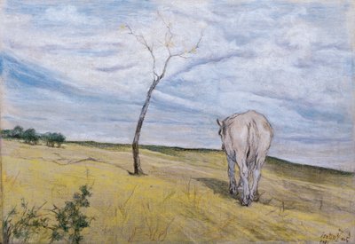 Valkoinen hevonen, Giovanni Fattori (1825-1908) tekijältä Giovanni Fattori