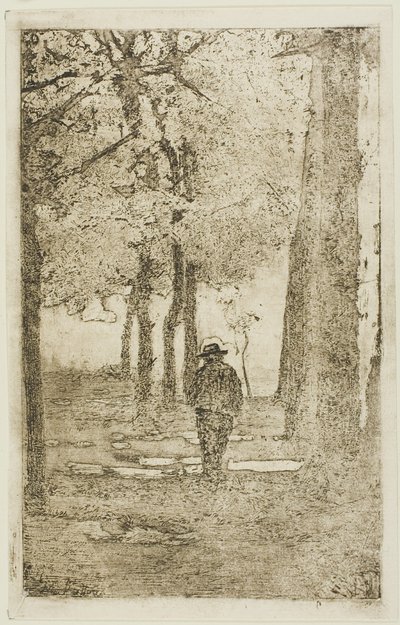 Metsäinen kävelyreitti kuvion kanssa tekijältä Giovanni Fattori