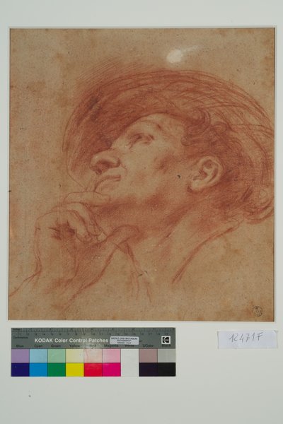Tutkimus Profeetta Haggain päälle (punainen liitu paperille) tekijältä Giovanni Francesco Barbieri