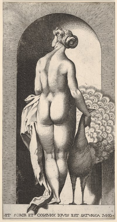 Levy 4: Juno seisoo kapealla, takaa katsottuna, silitti riikinkukkoa oikealla puolellaan, fr..., 1526. tekijältä Giovanni Jacopo Caraglio