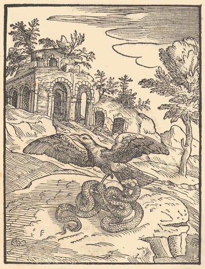 Lintu ja käärme, 1570. tekijältä Giovanni Maria Verdizotti
